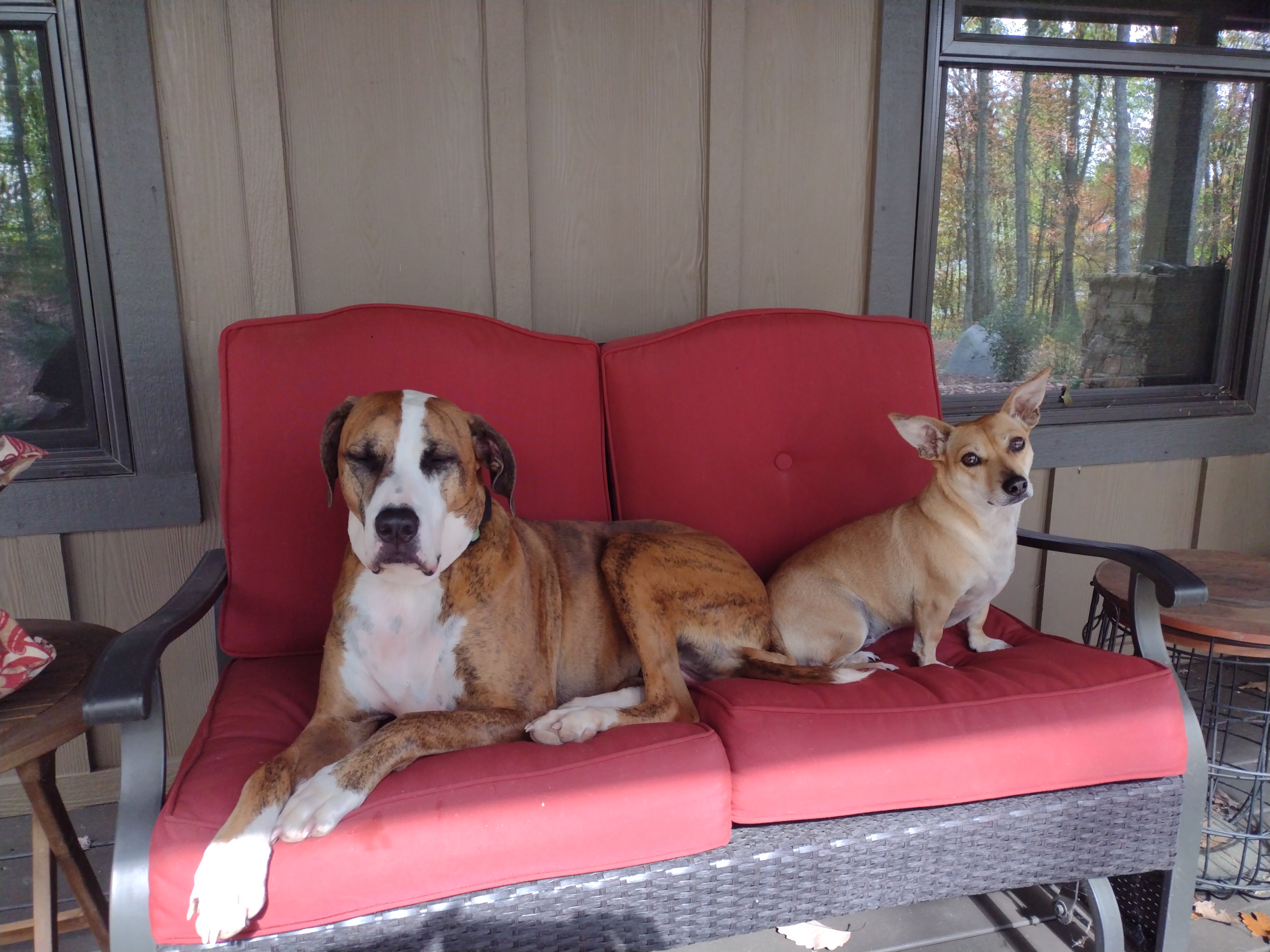 Framed photo placeholder